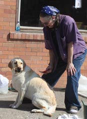 Harrington Opera House Dog Wash Fund Raiser