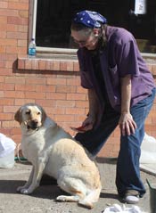 Harrington Opera House Dog Wash Fund Raiser